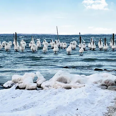 Сasa de vacaciones Lovely In Haderslev With Kitchen *